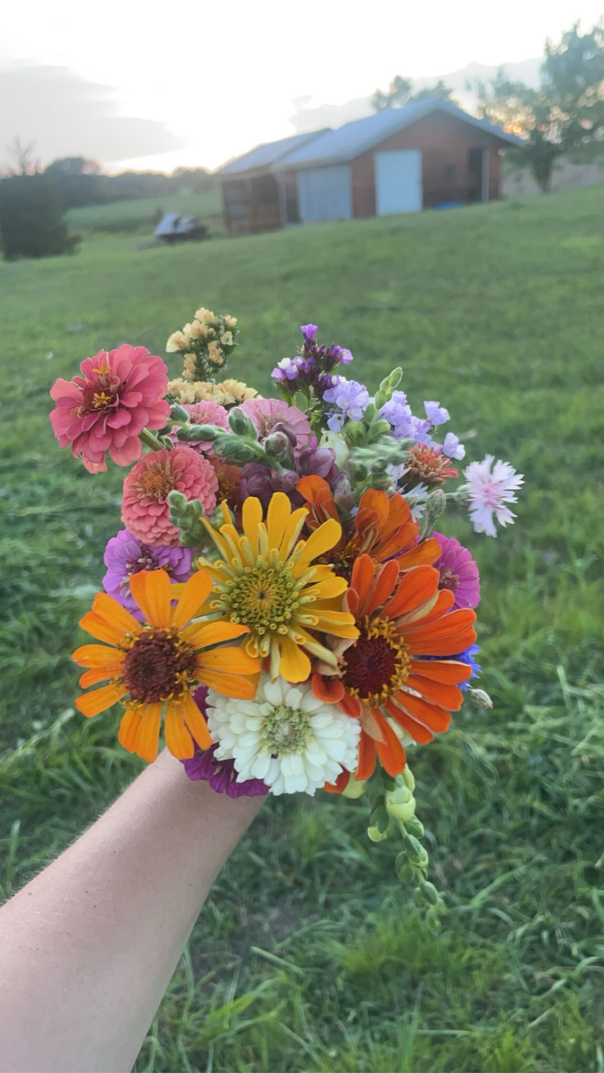 6 Week Bi-weekly Bouquet Club PICK UP (CSA) 2026