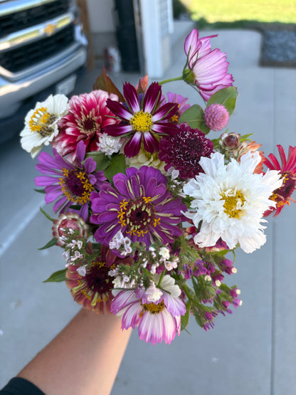 6 Week Bi-Weekly Bouquet Club DELIVERY (CSA) 2026